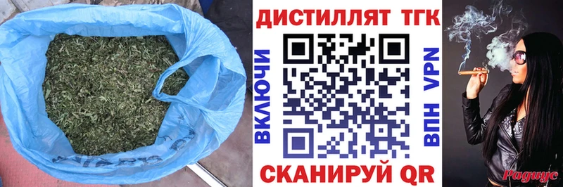 ТГК концентрат  Купить закладки  Мичуринск 